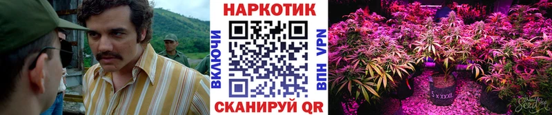 LSD-25 Переславль-Залесский