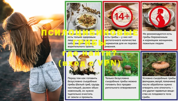 круглые Няндома
