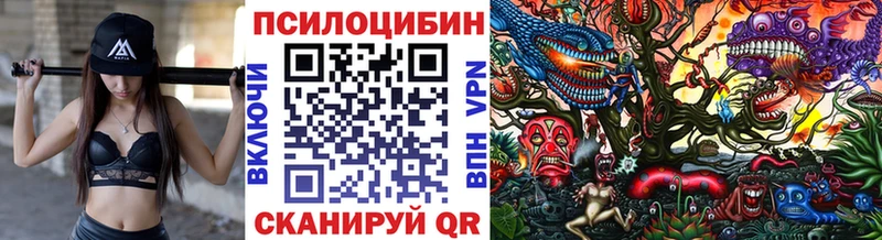Псилоцибиновые грибы Psilocybine cubensis  купить наркоту  Переславль-Залесский 