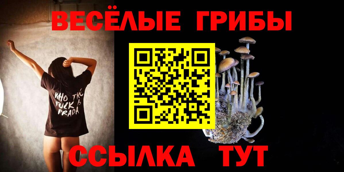 Галлюциногенные грибы Cubensis Переславль-Залесский