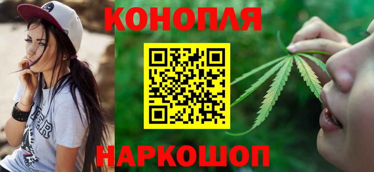 Бошки Шишки план Переславль-Залесский